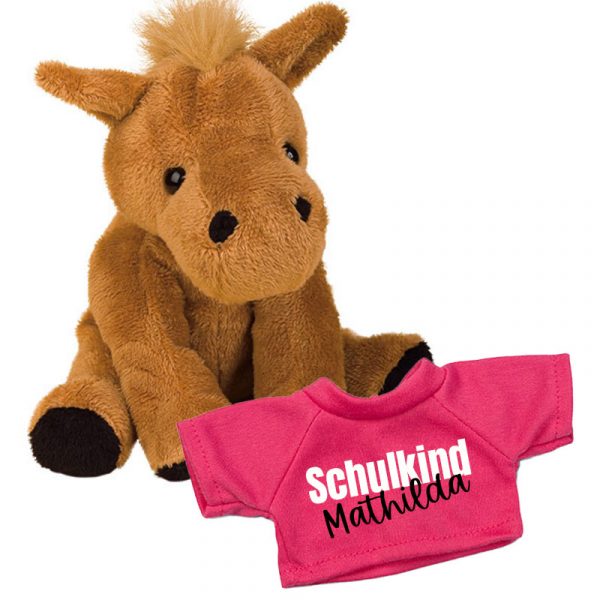 Plüschhund mit personalisiertem T-Shirt – Geschenk zur Einschulung