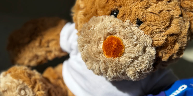 Plüschtier Bär mit T-Shirt für Einschulung